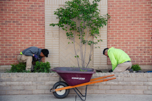 LawnPro-Shelbyville-Road-Plaza-2