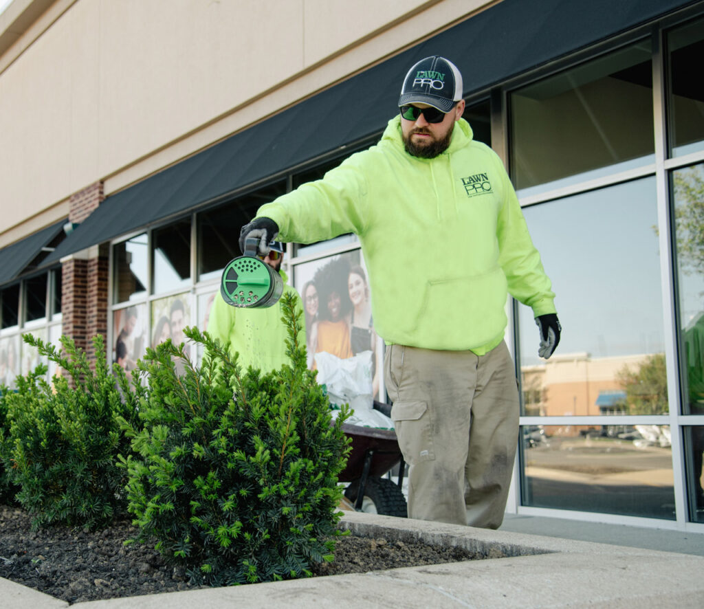 LawnPro-Shelbyville-Road-Plaza-6