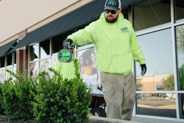 LawnPro-Shelbyville-Road-Plaza-6