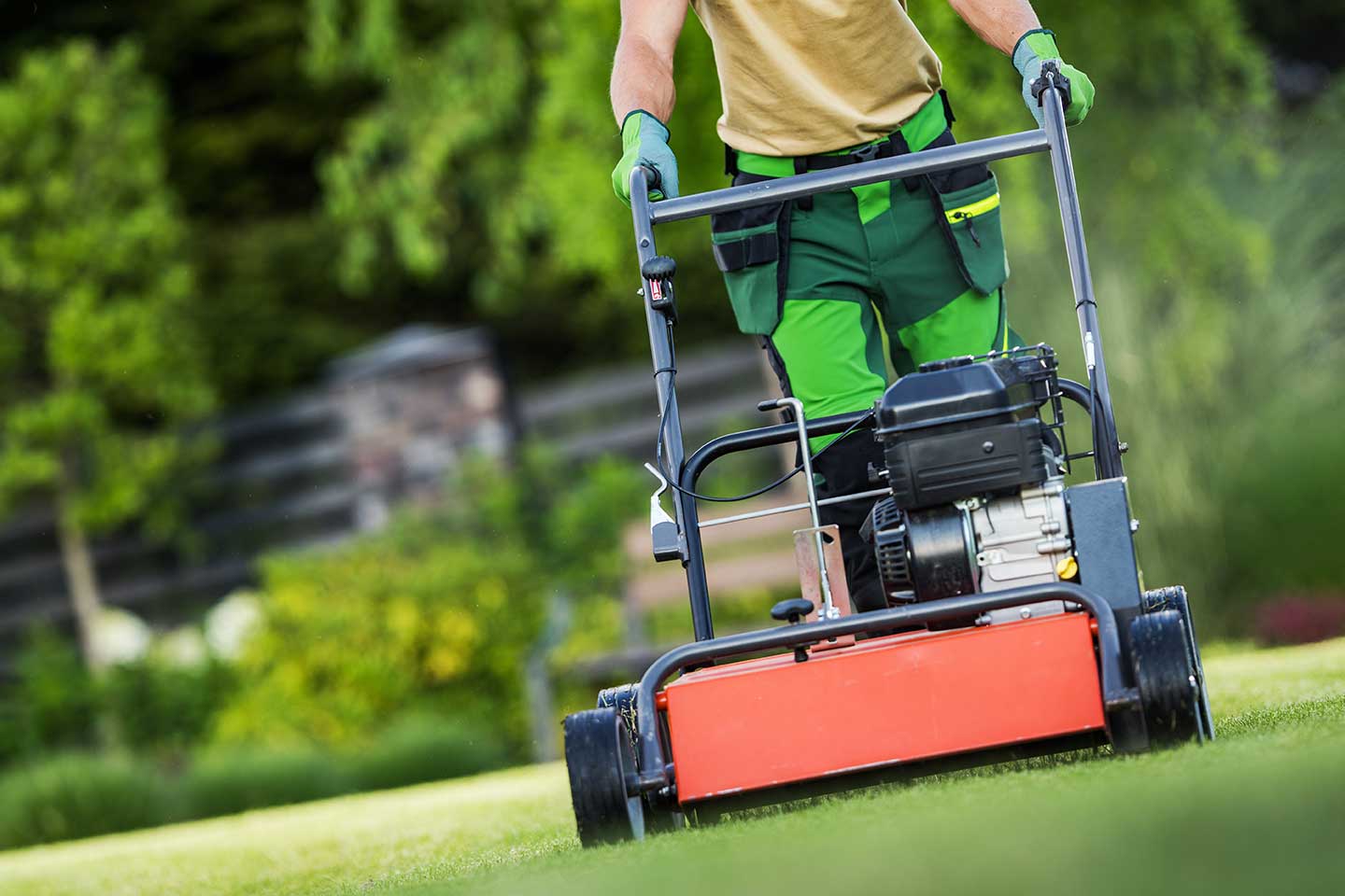 Seasonal Lawn Care Essentials: Tips for Year-Round Lawn Maintenance