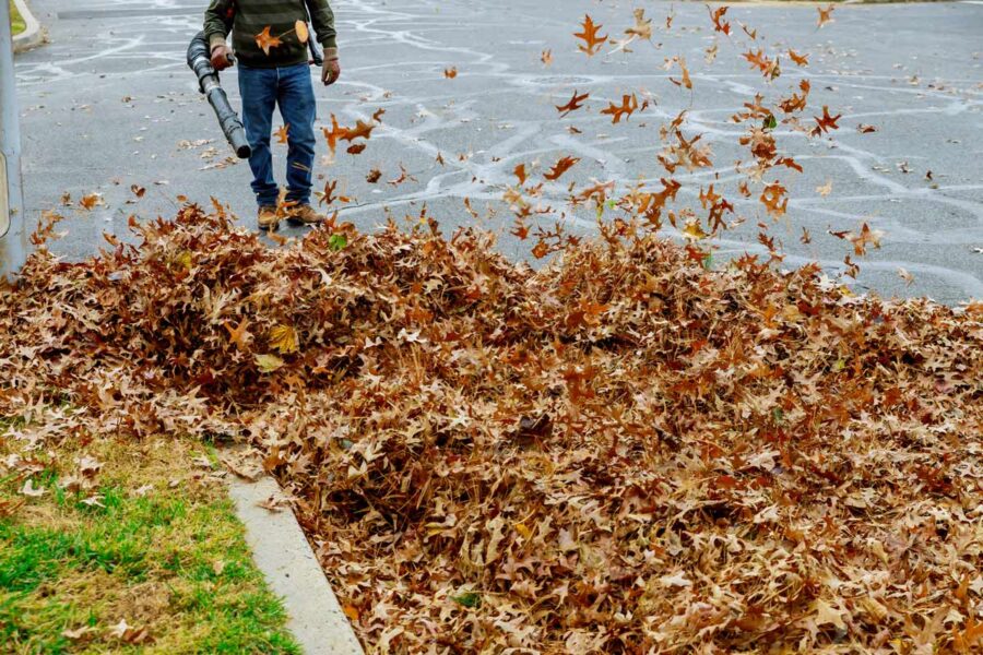 LawnPro crew member providing leaf removal and fall debris removal with blower.