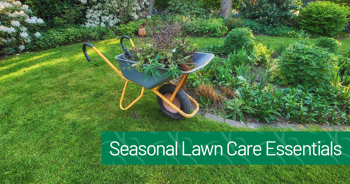 Seasonal Lawn Care Essentials: Tips for Year-Round Lawn Maintenance