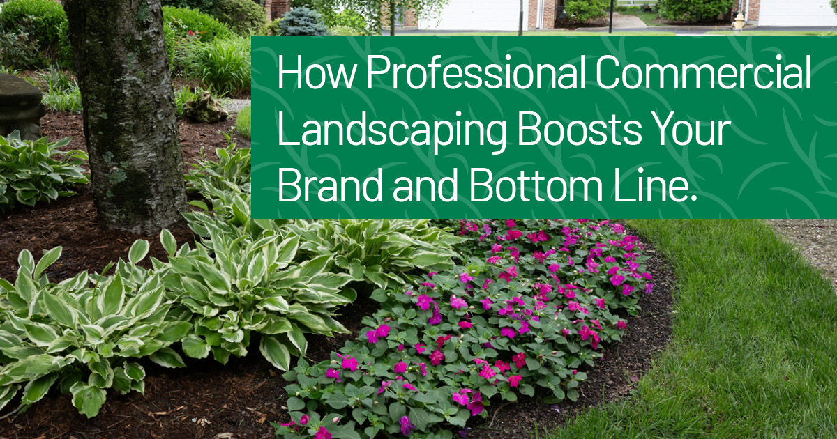 Commercial Landscaping